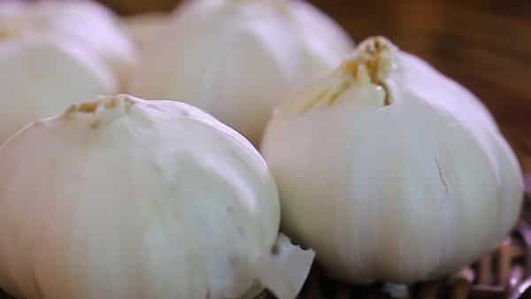 تصویر 3 از خرید و قیمت سیر تازه با ساقه + فروش عمده